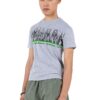 Grey Melange - Group elephant printed Cotton T-Shirt - Adults (Unisex) - Image 3