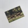 Multi Coloured Hard paper Greeting Cards - Image 3