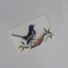 Multi Coloured Hard paper Greeting Cards - Image 12