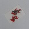 Multi Coloured Hard paper Greeting Cards - Image 13