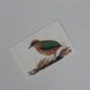 Multi Coloured Hard paper Greeting Cards - Image 14