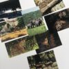 Multi Coloured Hard paper Greeting Cards - Image 2