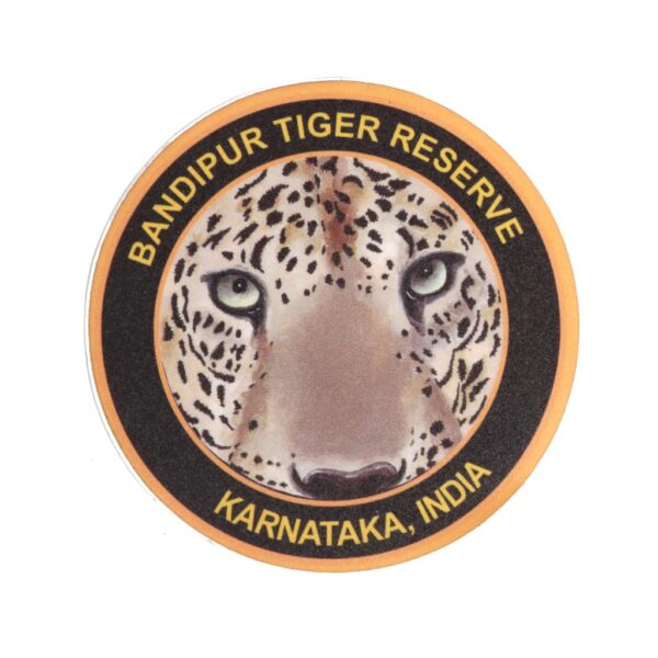 Multi Coloured Vinyl Car Outer sticker