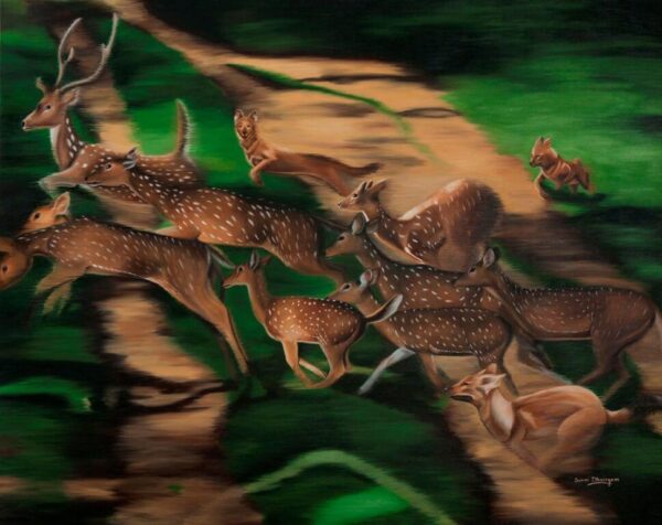The Hunt - Bandipur Tiger Reserve