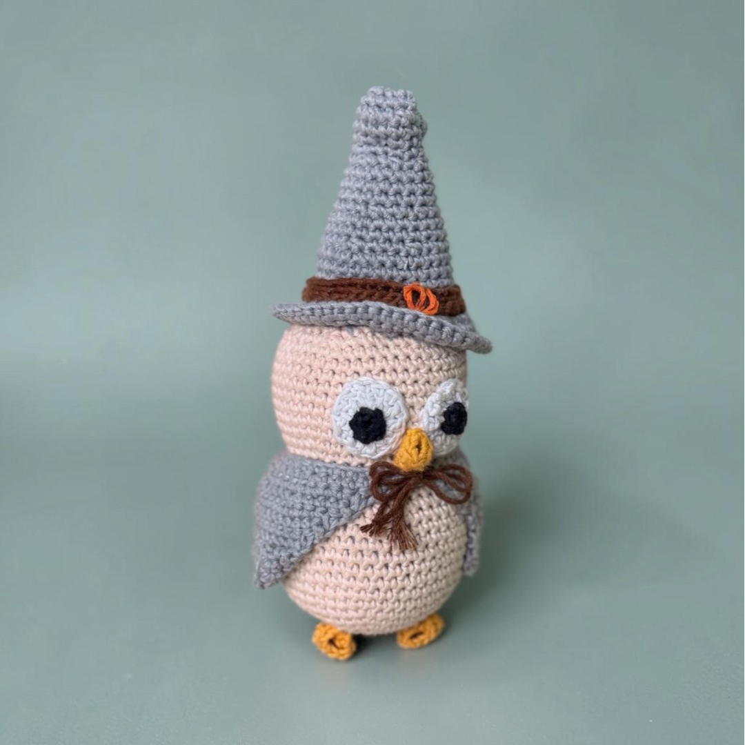 Mr. Goobai (Crochet Owl) - Image 2