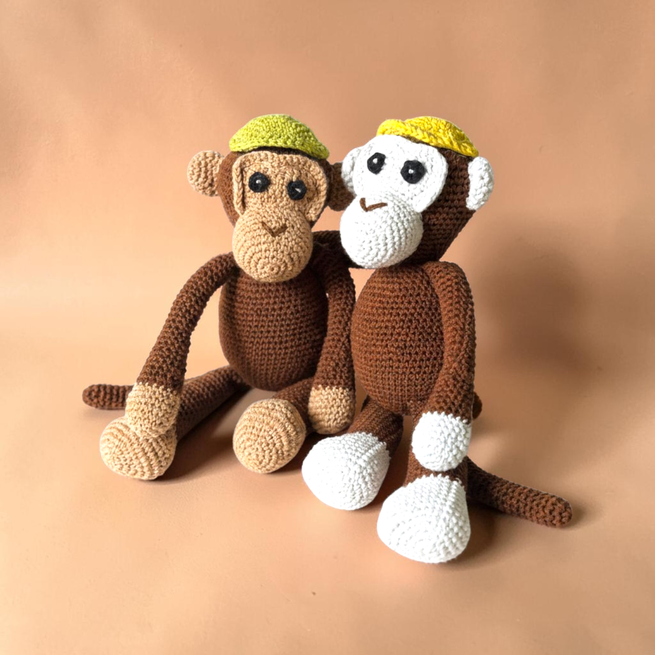 Chintu & Pintu (Crochet Monkey Pair)